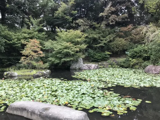 主に三つのエリア
