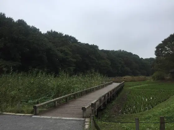 水生植物園