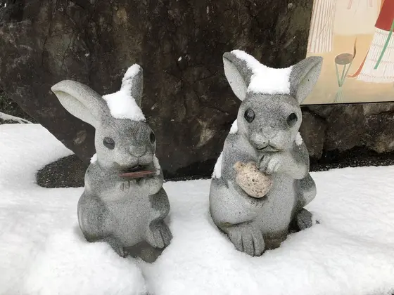 因幡の素兎