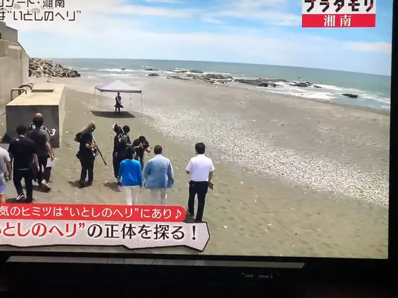 ブラタモリ