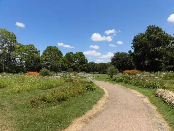 夏の花八景
