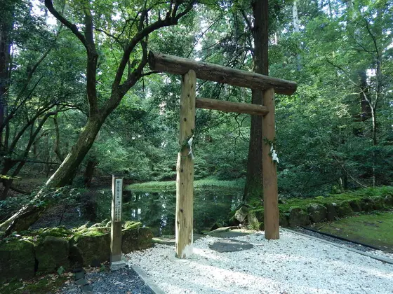 女神さまの伝説が残る御手洗池（みたらしいけ）