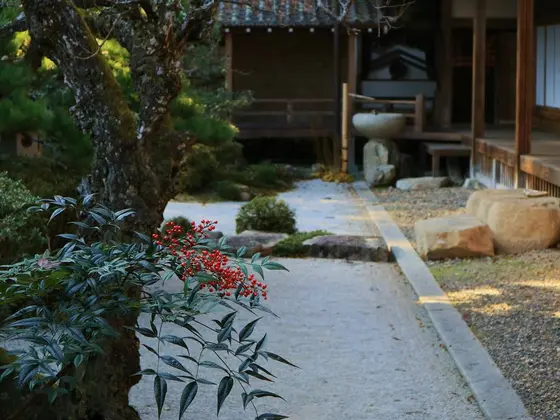 庭園②