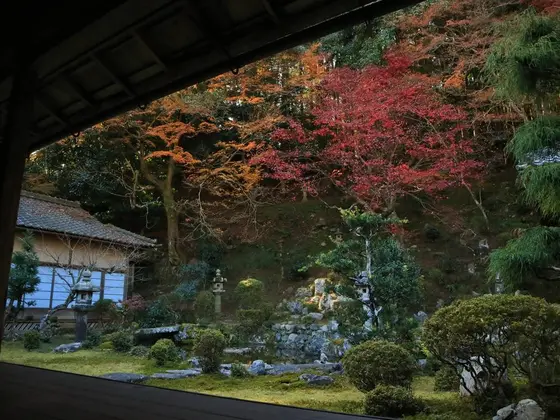 庭園①