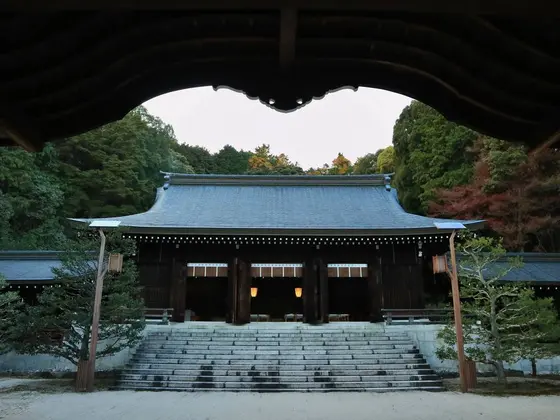 境内④
