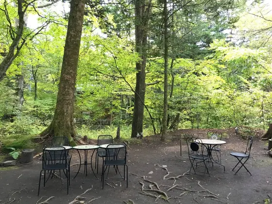 テラス席から見える風景