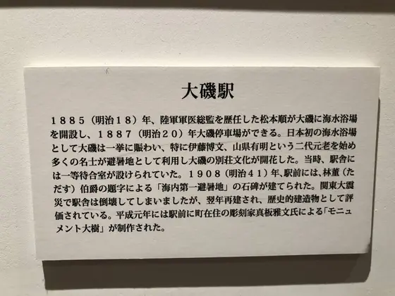 解説