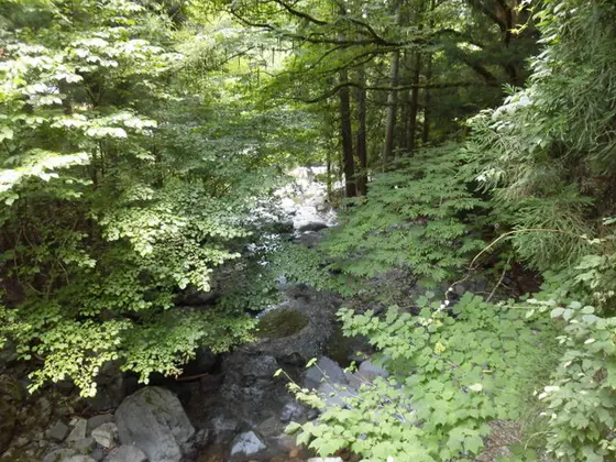 森林渓谷
