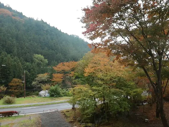 ちょうど見ごろな紅葉