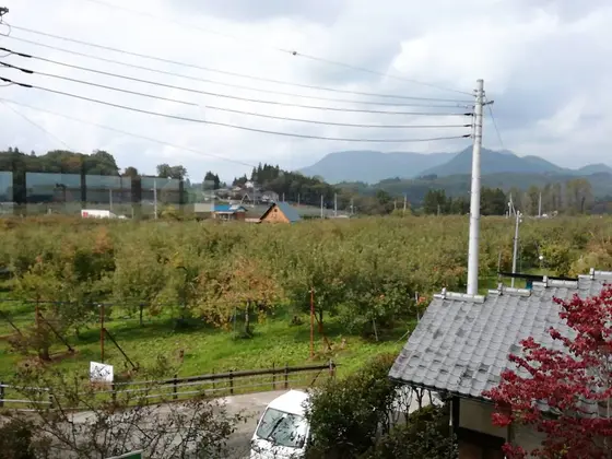 リンゴ園が見えます