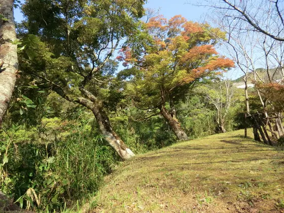 ふもと川沿いの遊歩道