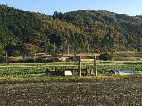 田んぼの中にぽつんと佇む豊玉姫陵