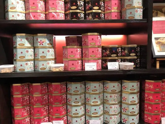 スポット内のおすすめ