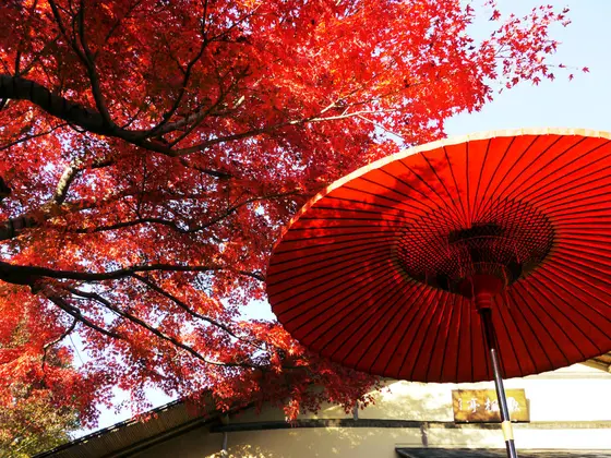日本庭園