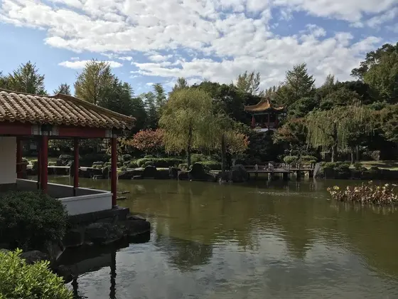 池は結構、大きいです。
