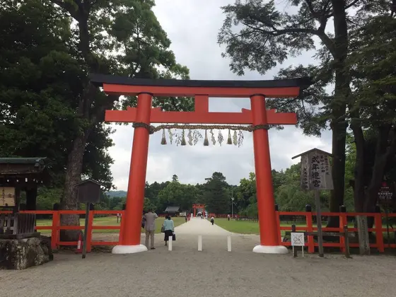 優しい感じがします。
