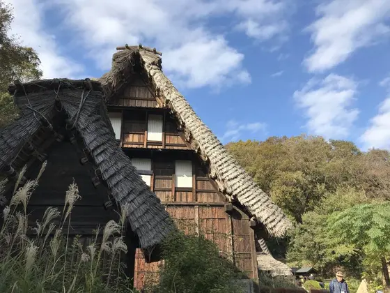 のんびり里山散歩♪