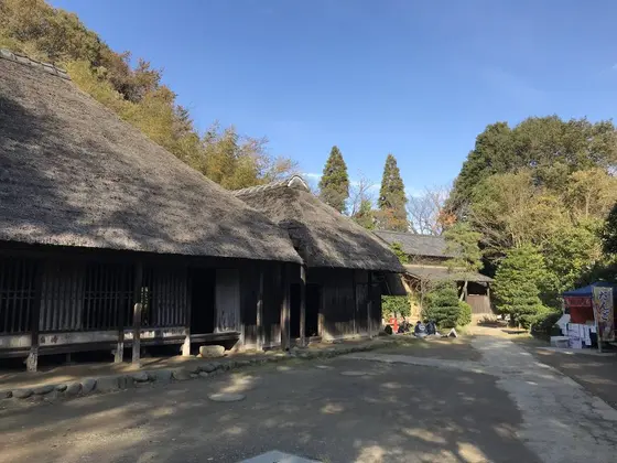 ニワトリとか居そうです^ - ^