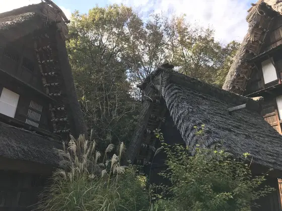 ここだけ見たら白川郷