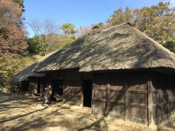 木漏れ日が良いです♪