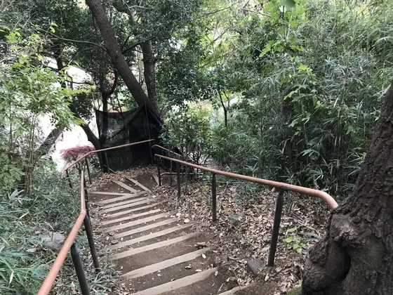 エクストリーム階段