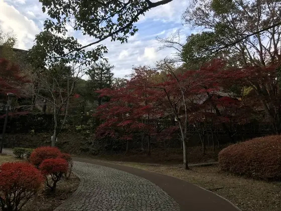 良く整備された公園です。