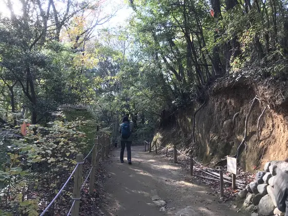 何処ぞの山の中？