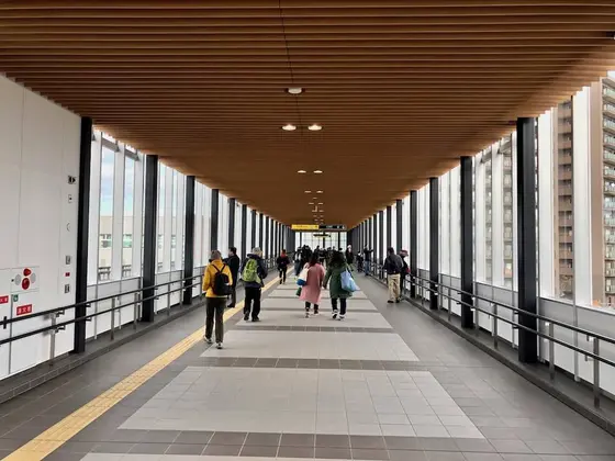 南北自由通路