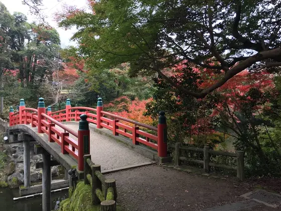 高岡古城公園