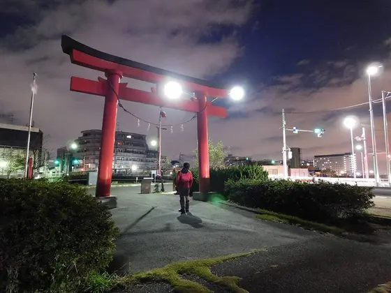見上げる
