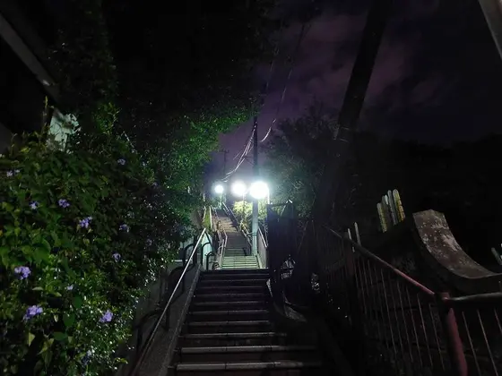 レッツ登坂