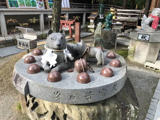 安産子宝犬
