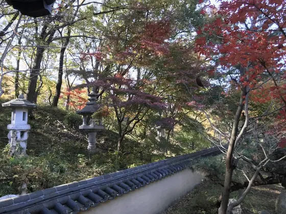 ココら辺は日本的