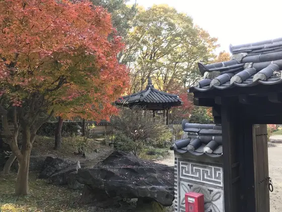 色付いた樹木が美しい