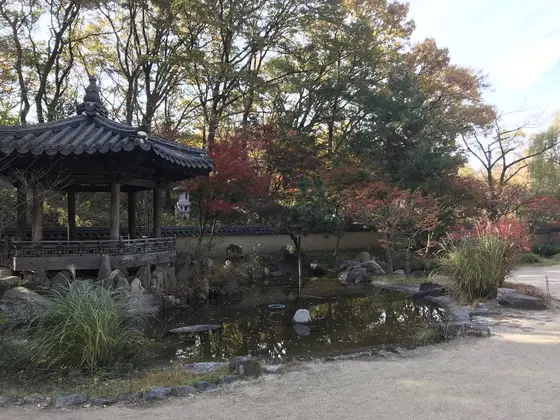 東屋と池の組み合わせ