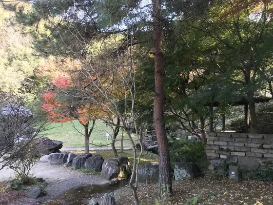 奥には芝生？も