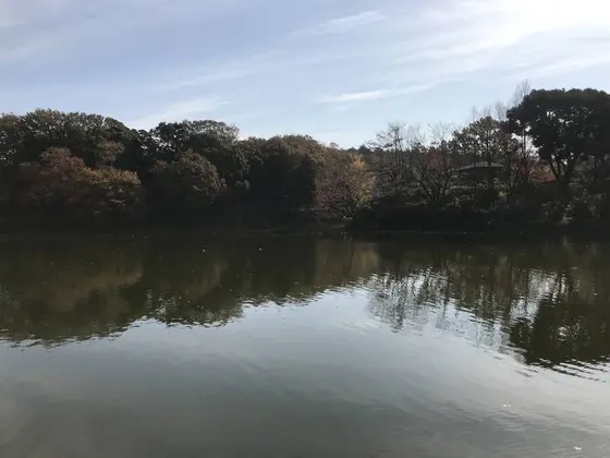 展望デッキの眺め