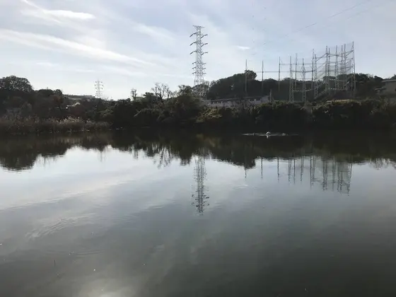池の真ん中には噴水らしき何か