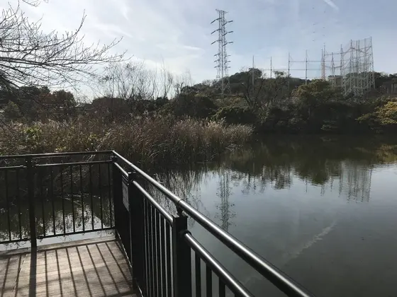 池は深そうです。