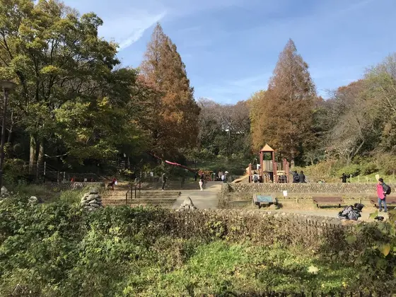 公園のもう一つの目玉