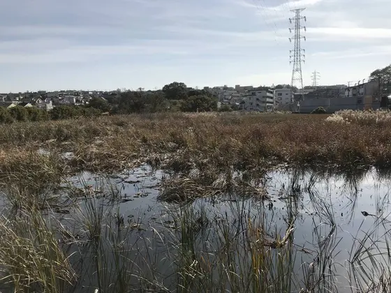 水面は思ったよりも
