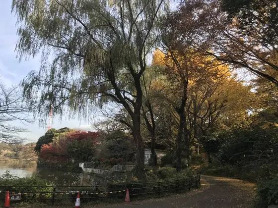 様々な色の競演。