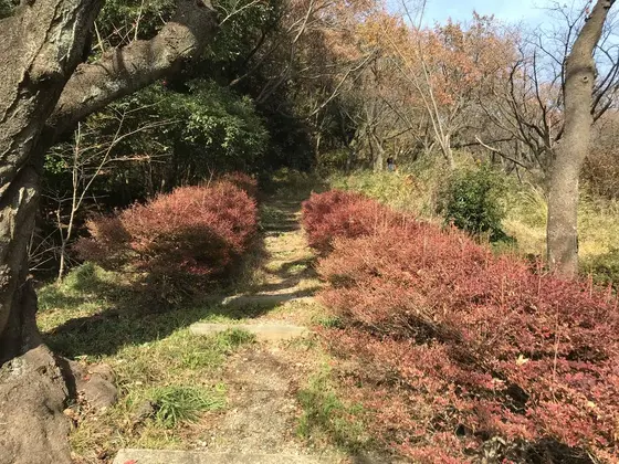 山道が有ります。