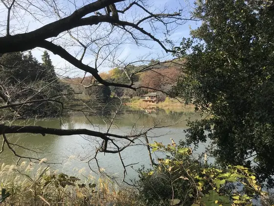 下の池が最初の池
