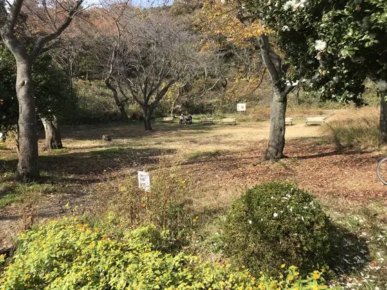 売店前広場