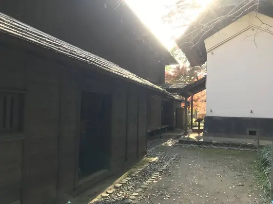 いい絵が撮れました♪