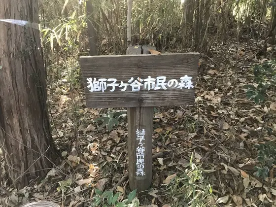ワイルドな標識です。