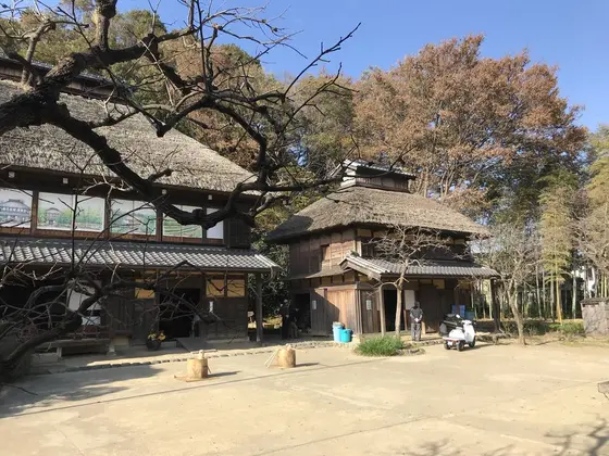 保存状態が素晴らしい