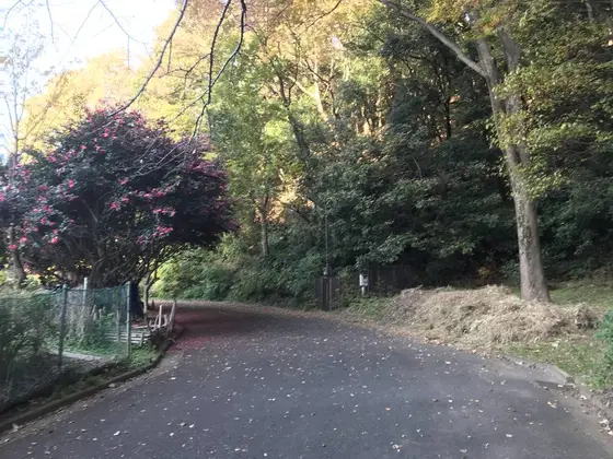 街の直ぐ側にある自然