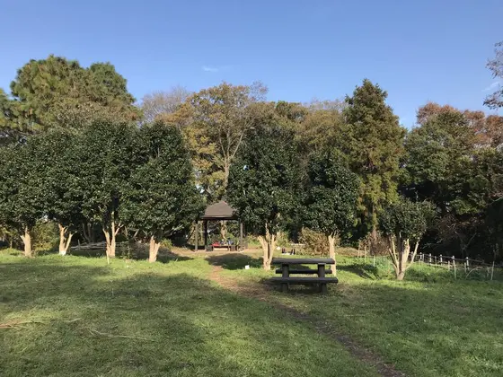 見晴らしは、よくないです。